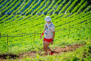 BIB: 
                            <button type="button" onclick="openModal(19161598)" class="btn btn-primary btn-sm float-right btn-popup" data-toggle="modal" data-target=".modal-high-quality">
                        <i class="fas fa-shopping-cart"></i> Add to Cart
                    </button>
                                            <button type="button" onclick="isThisMe(19161598, true)" class="btn btn-success btn-sm float-right btn-popup btn-isme hidden" data-toggle="tooltip" data-placement="bottom" title="นี่คือรูปของคุณใช่ไหม คลิกที่นี่เพื่อเอาเข้าอัลบั้ม">
                        <i class="fas fa-plus"></i> Add to album
                    </button>
                    <button type="button" onclick="isThisMe(19161598, false)" class="btn btn-warning btn-sm float-right btn-popup btn-isnotme hidden">
                        <i class="fas fa-ban"></i> Remove from album
                    </button>